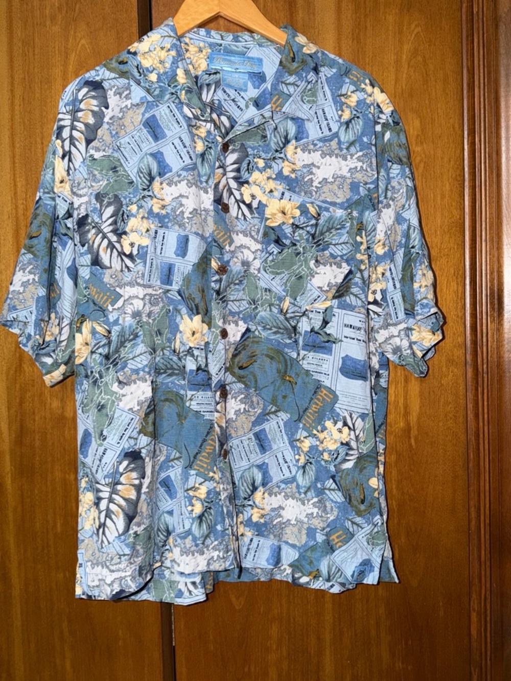 Casual Blue Floral Short-Sleeve Button-Down Shirt